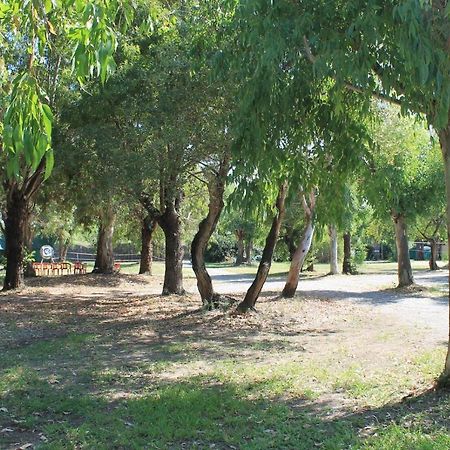 Villaggio Camping Maratea Ngoại thất bức ảnh