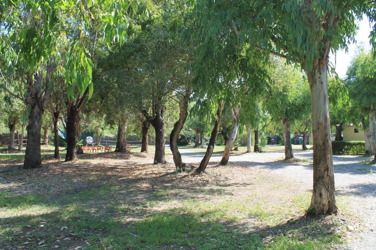 Villaggio Camping Maratea Ngoại thất bức ảnh